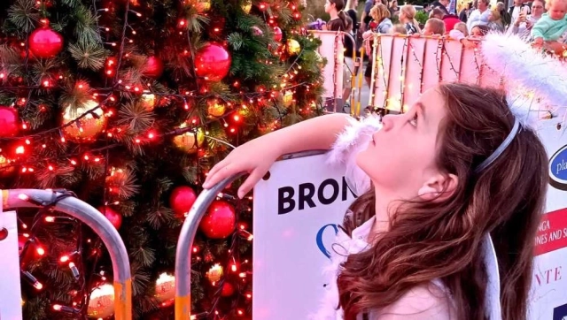 Sparkling Christmas tree delight in Whitianga