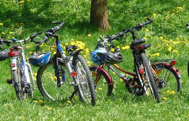 Up-cycle your biking skills this summer
