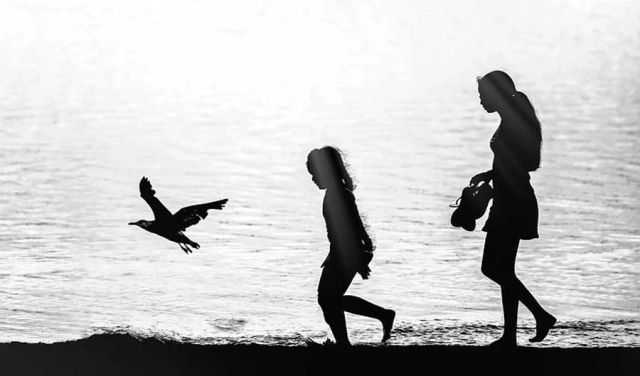 Keep the family entertained these Holidays