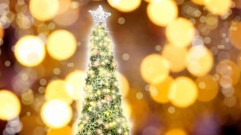Whitianga Christmas Tree Lighting Whitianga Christmas Tree Lighting