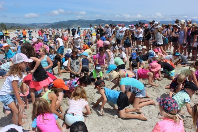 Big Dig Matarangi Beach Summer Festival