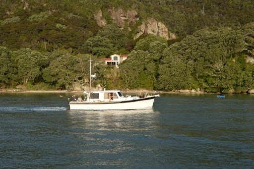 Nationals tournament Mercury Bay Game Fishing Club