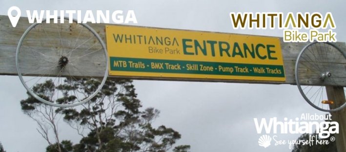 Whitianga Bike Park Whitianga Bike Park
