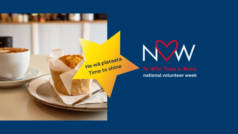 Celebrating Volunteers