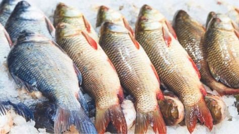 Charity Fish Auction