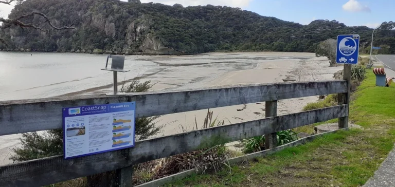 Coastcare Planting and Working Bees - Flaxmill Bay