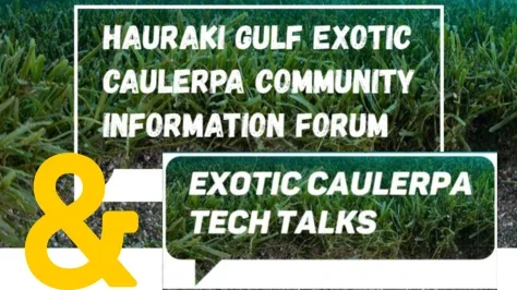 Exotic Caulerpa Community Information Forum and Tech Talks 
