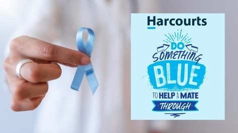 Harcourts Whitianga - Blue Do