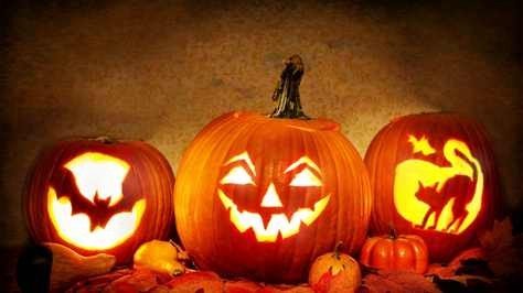 Halloween at The Mercury Bay Museum
