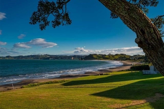 Coastcare Planting and Working Bee at Wharekaho Wetlands