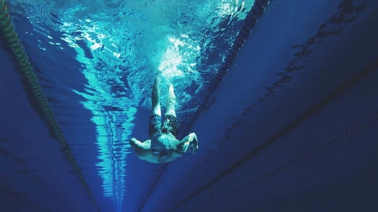 Mercury Bay  Amateur Swimming Club AGM