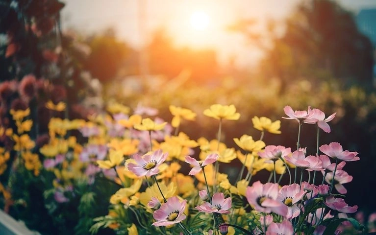 2021 Garden Ramble