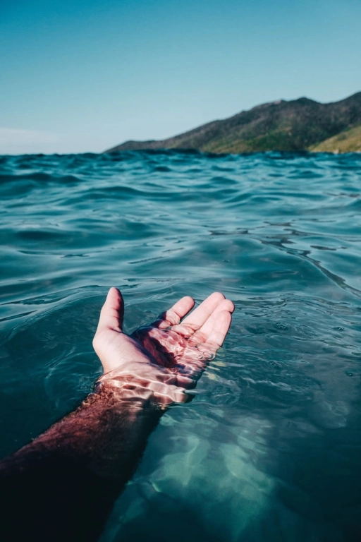 Coromandel: Protecting the sea on our doorstep