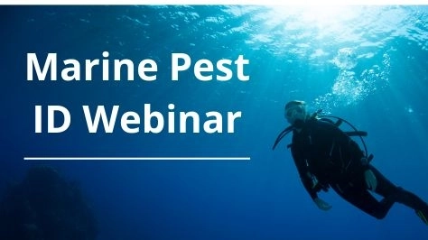 Marine Pest ID Workshop