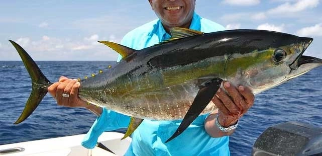Winter Tuna Tournament