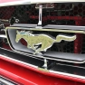 Whiti Beach Meet Car Show: A Roaring Success for Car Enthusiasts and Charity