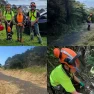 Updates for Cathedral Cove walks, tracks and beaches that are open or closed