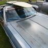 Whiti Beach Meet Car Show: A Roaring Success for Car Enthusiasts and Charity
