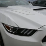 Whiti Beach Meet Car Show: A Roaring Success for Car Enthusiasts and Charity