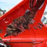 Whiti Beach Meet Car Show: A Roaring Success for Car Enthusiasts and Charity