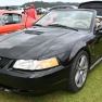 Whiti Beach Meet Car Show: A Roaring Success for Car Enthusiasts and Charity