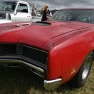 Whiti Beach Meet Car Show: A Roaring Success for Car Enthusiasts and Charity