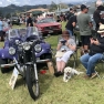 Whiti Beach Meet Car Show: A Roaring Success for Car Enthusiasts and Charity